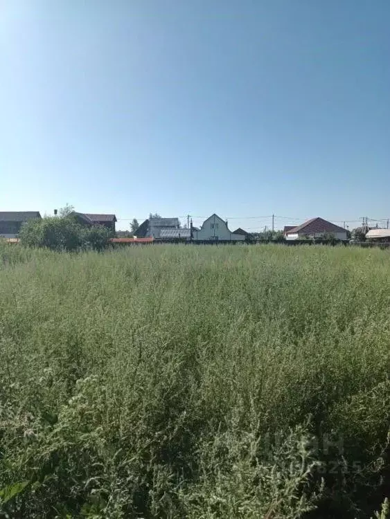 Участок в Иркутская область, Шелеховский район, Баклашинское ... - Фото 1