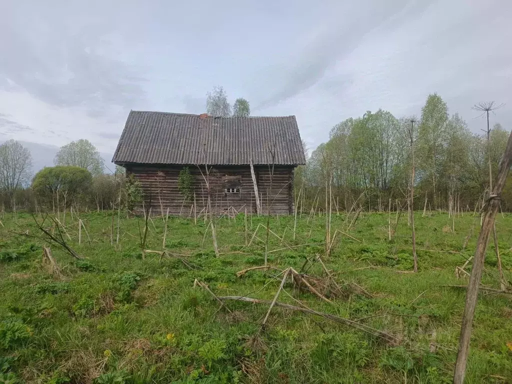 Участок в Новгородская область, Маловишерский район, Бургинское с/пос, ... - Фото 1