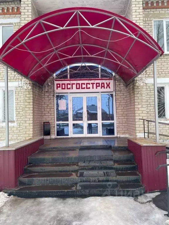 Помещение свободного назначения в Мордовия, с. Дубенки  (345 м) - Фото 0
