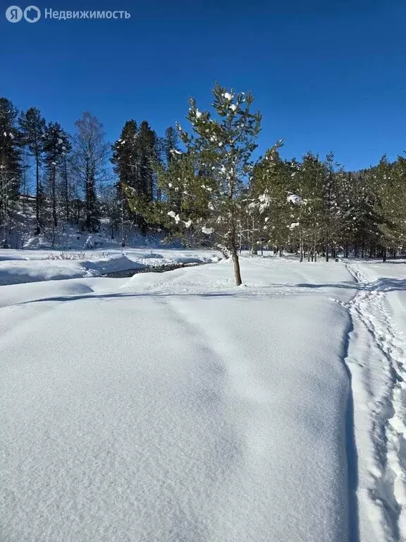 Участок в Турочакский район, село Старый Кебезень, Новая улица (5.6 м) - Фото 1