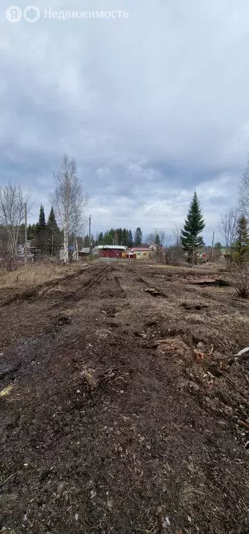 Участок в Чалнинское сельское поселение, садоводческое некоммерческое ... - Фото 1