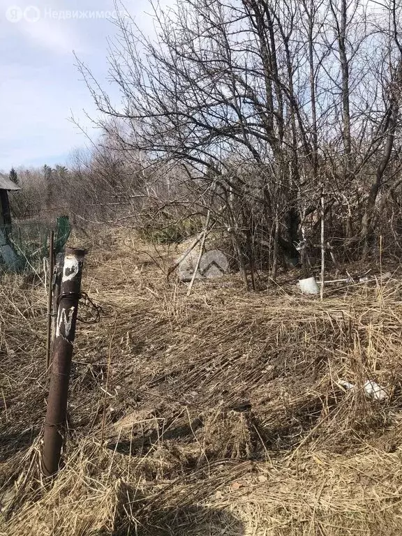 Участок в Барышевский сельсовет, садоводческое некоммерческое ... - Фото 2