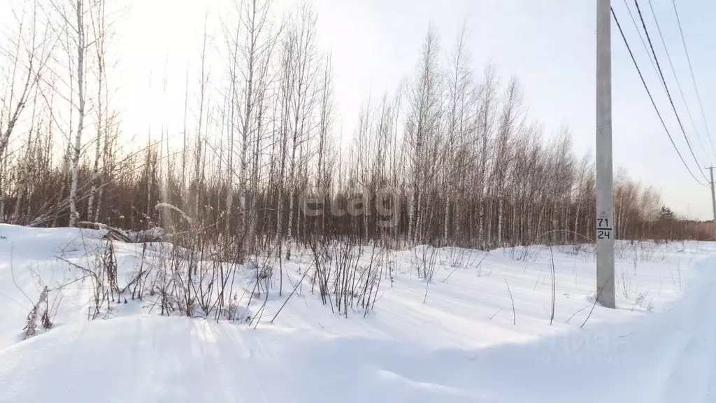 Участок в Томская область, Томск пер. Заботы (10.7 сот.) - Фото 0