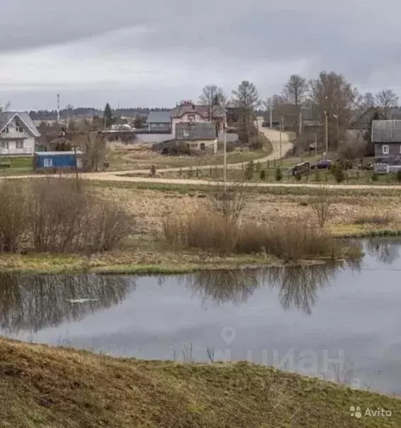 Участок в Ленинградская область, Гатчинский район, д. Скворицы ул. ... - Фото 0