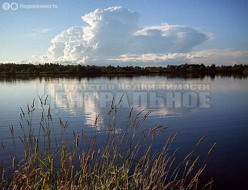 участок в смоленск, садоводческое товарищество подснежник (10.8 м) - Фото 1