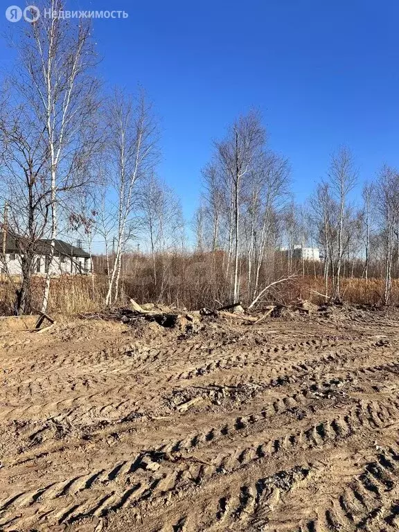 Участок в Тюменский муниципальный округ, СНТ Нива, Овощная улица (7.87 ... - Фото 2