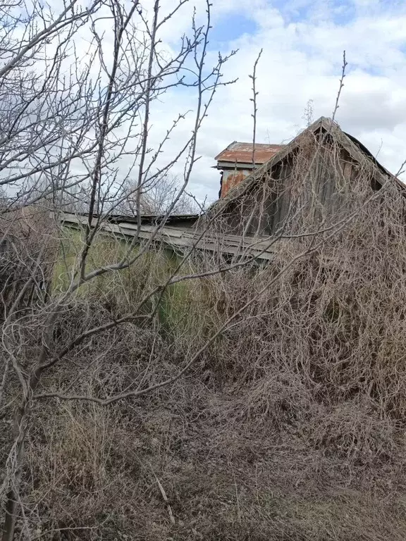 Участок 5,5 сот. (СНТ, ДНП) - Фото 1