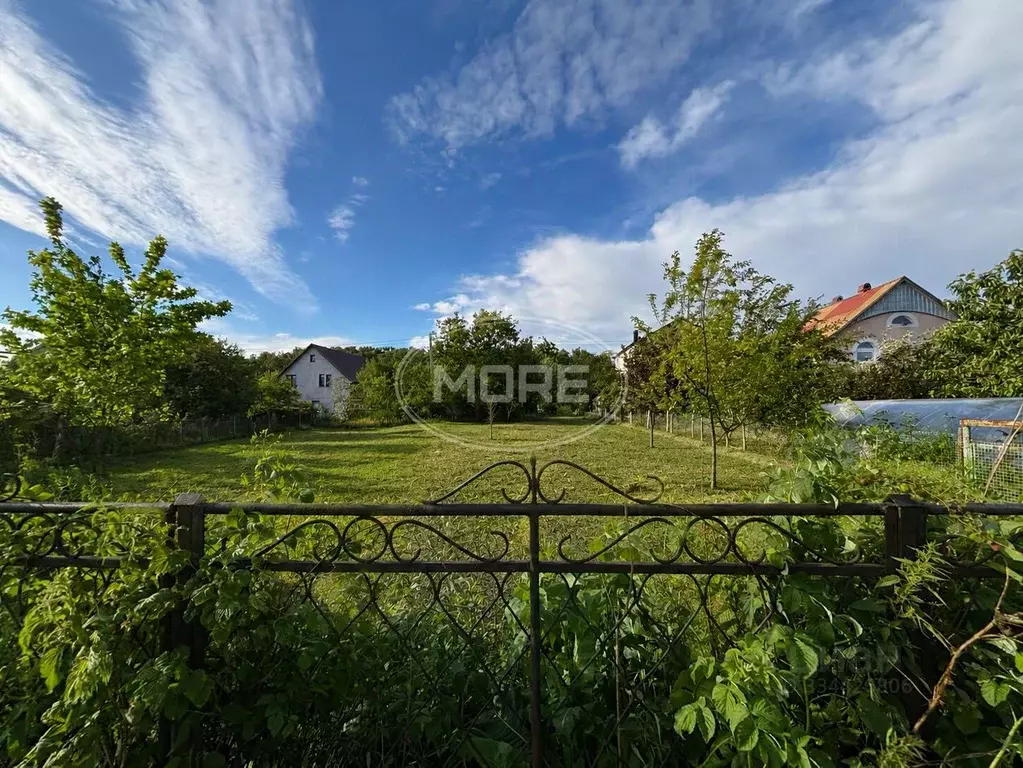 Участок в Калининградская область, Калининград Дружба-3 СНТ, ул. ... - Фото 1
