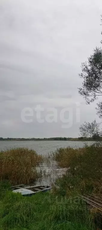 Участок в Псковская область, Палкинский муниципальный округ, д. ... - Фото 1