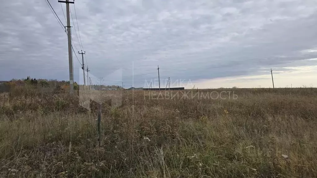 Участок в Тюменская область, Тюменский район, д. Насекина  (8.41 сот.) - Фото 0