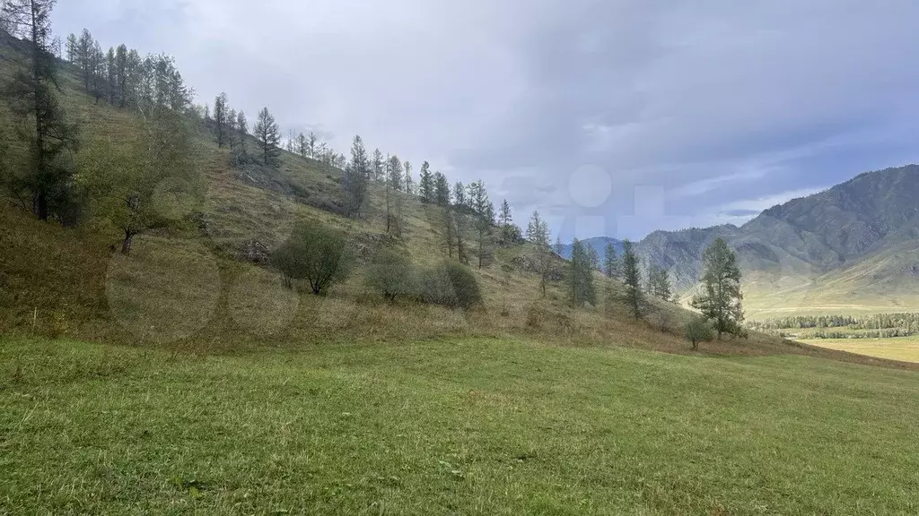 Участок 1,5 га (СНТ, ДНП) - Фото 0