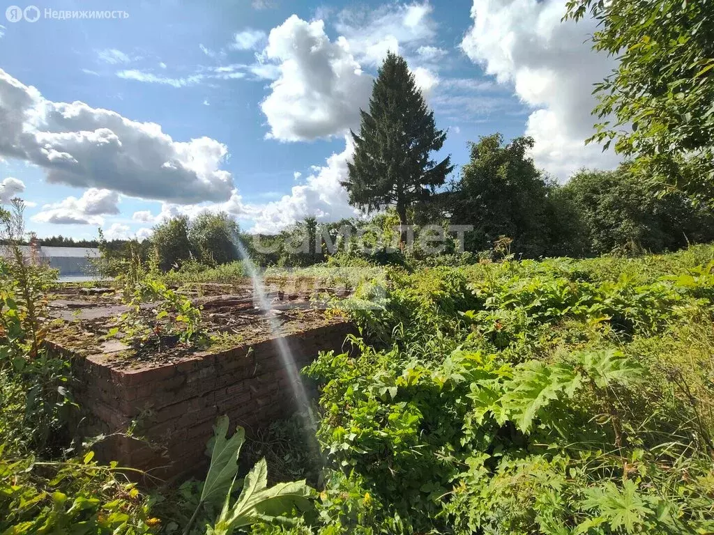 Участок в Московская область, городской округ Клин, деревня Попелково ... - Фото 1