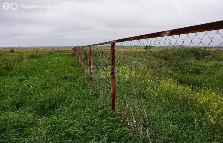 Участок в Казанский район, деревня Шадринка, Зелёная улица (50 м) - Фото 1