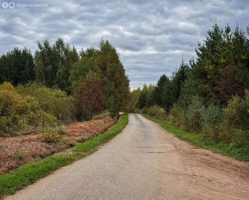 Участок в Кирово-Чепецкий район, Федяковское сельское поселение, ... - Фото 1