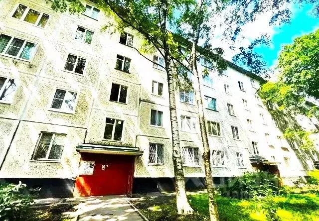 Комната Санкт-Петербург просп. Большевиков, 67К2 (16.0 м) - Фото 1