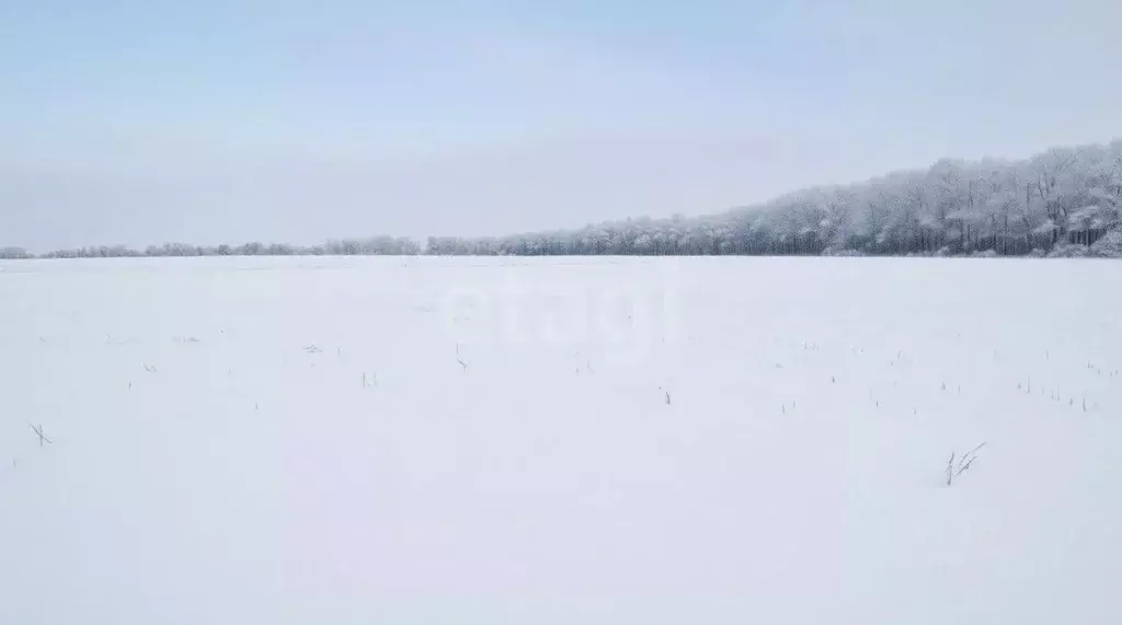 Участок в Тульская область, Новомосковск Сокольники мкр,  (813.4 сот.) - Фото 2