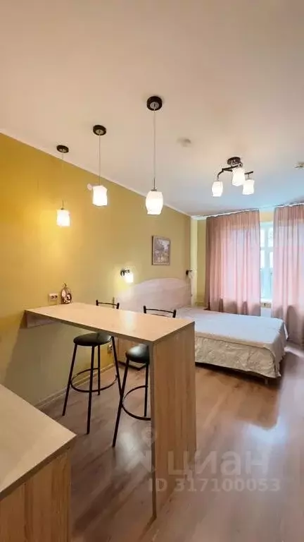 Студия Санкт-Петербург ул. Савушкина, 104 (30.0 м) - Фото 0