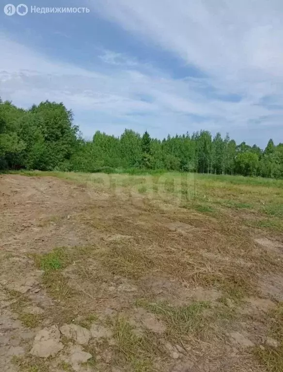 Участок в Архангельская область, Приморский муниципальный округ, ... - Фото 1