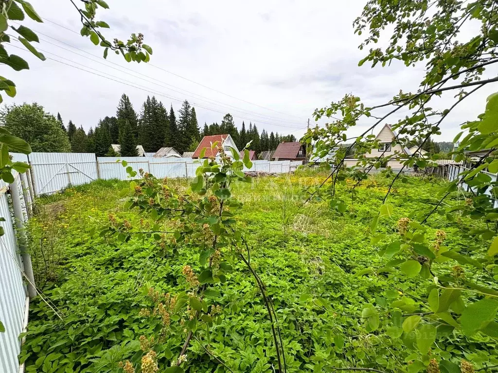 Участок в Кемеровская область, Кемеровский район, Геолог СНТ  (5.0 ... - Фото 1