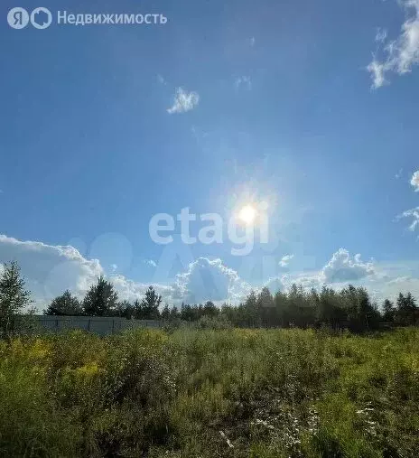 Участок в Мошковский район, посёлок Барлакский (11.4 м) - Фото 1