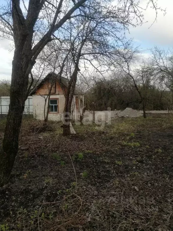 Участок в Белгородская область, Белгород Луч садовое товарищество,  ... - Фото 1