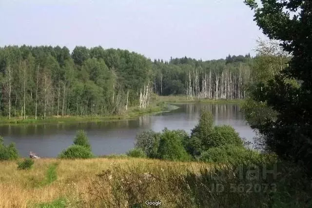 Участок в Новгородская область, Валдайский район, Яжелбицкое с/пос, д. ... - Фото 0