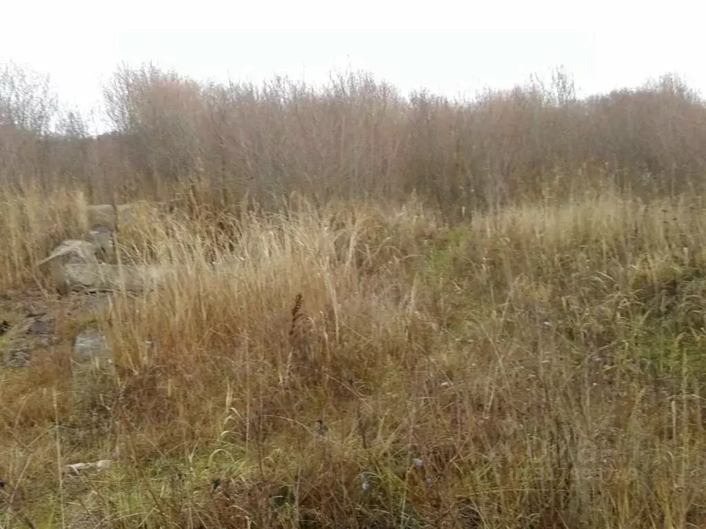 Участок в Псковская область, Псков Почтовая ул. (11.0 сот.) - Фото 1