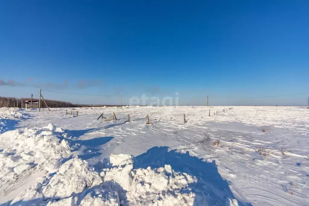 Участок в Хабаровский край, Хабаровский район, Тополевское с/пос, с. ... - Фото 2