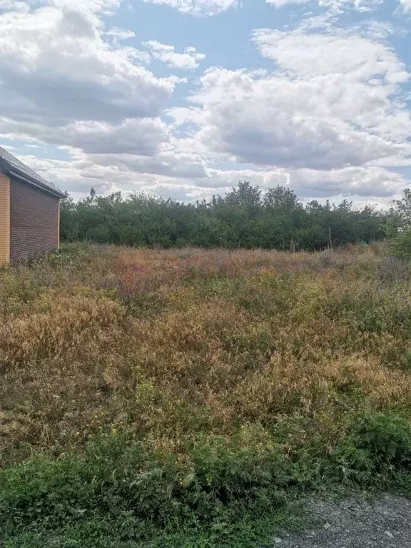 Участок в Ростовская область, Новочеркасск Кадамовская ул., 36 (3.0 ... - Фото 1