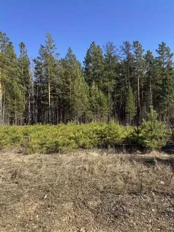 Участок в Иркутская область, Иркутский муниципальный округ, д. ... - Фото 1