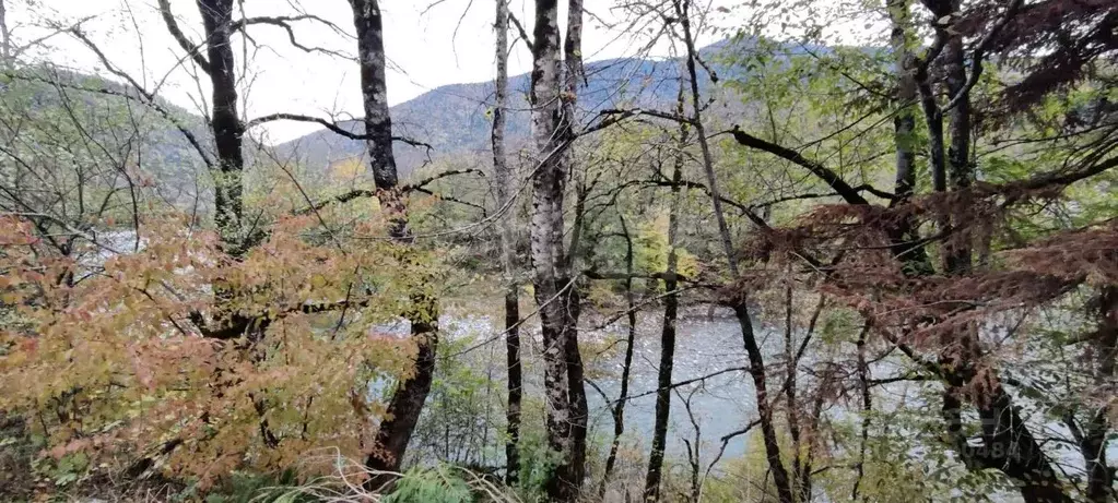 Участок в Адыгея, Майкопский район, Даховское с/пос, пос. Гузерипль ... - Фото 1