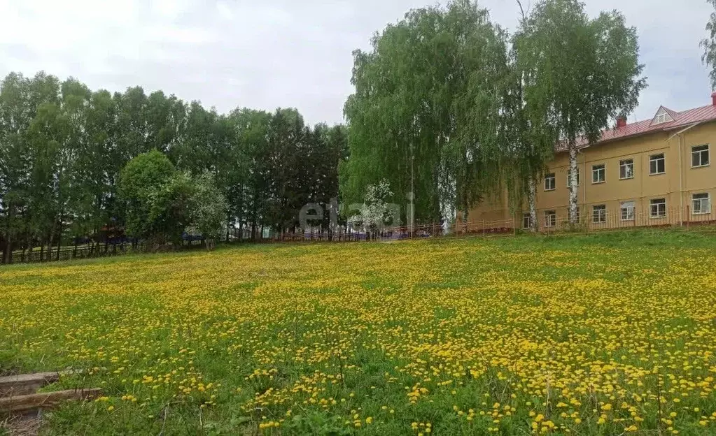 Участок в Башкортостан, Гафурийский район, Красноусольский сельсовет, ... - Фото 1