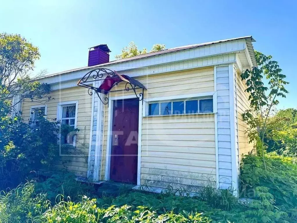 Дом в Воронежская область, Хохольский район, Гремяченское с/пос, с. ... - Фото 1