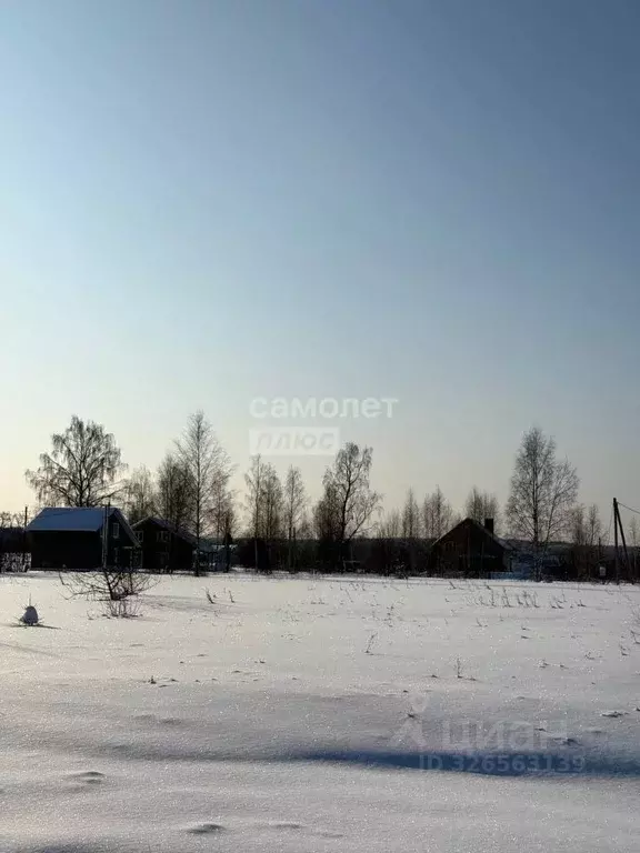 Участок в Ивановская область, Фурмановский район, Широковское с/пос, ... - Фото 2
