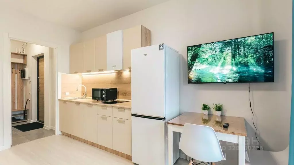 Студия Санкт-Петербург пос. Шушары, просп. Старорусский, 5к2 (21.0 м) - Фото 1