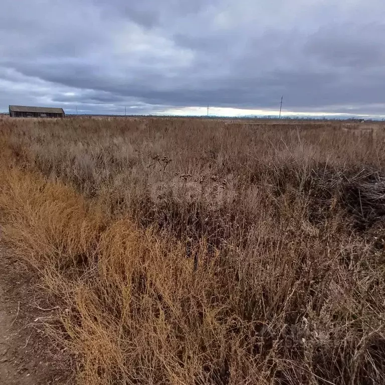 Участок в Оренбургская область, Сакмарский район, Беловский сельсовет, ... - Фото 2