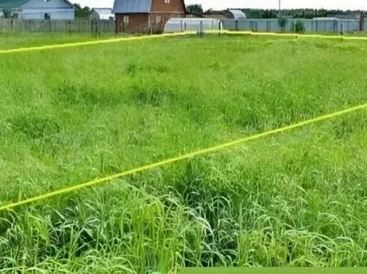 Участок в Краснодарский край, Сочи ул. Тюленина (14.0 сот.) - Фото 1