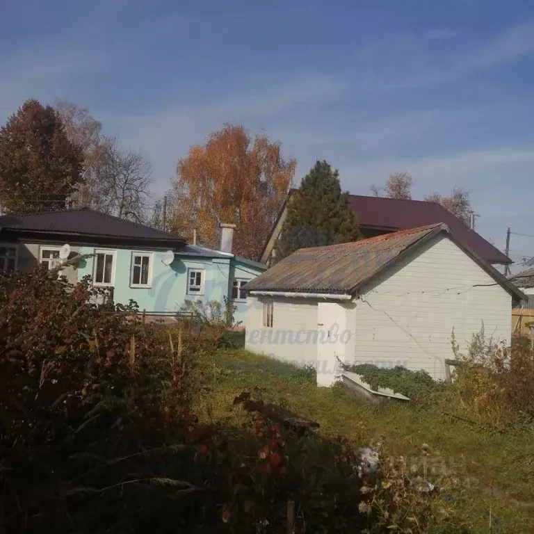 Дом в Нижегородская область, Богородск ул. Данилова, 184А (48 м) - Фото 0