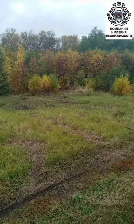 Участок в Белгородская область, Белгородский район, пос. Майский ул. ... - Фото 1