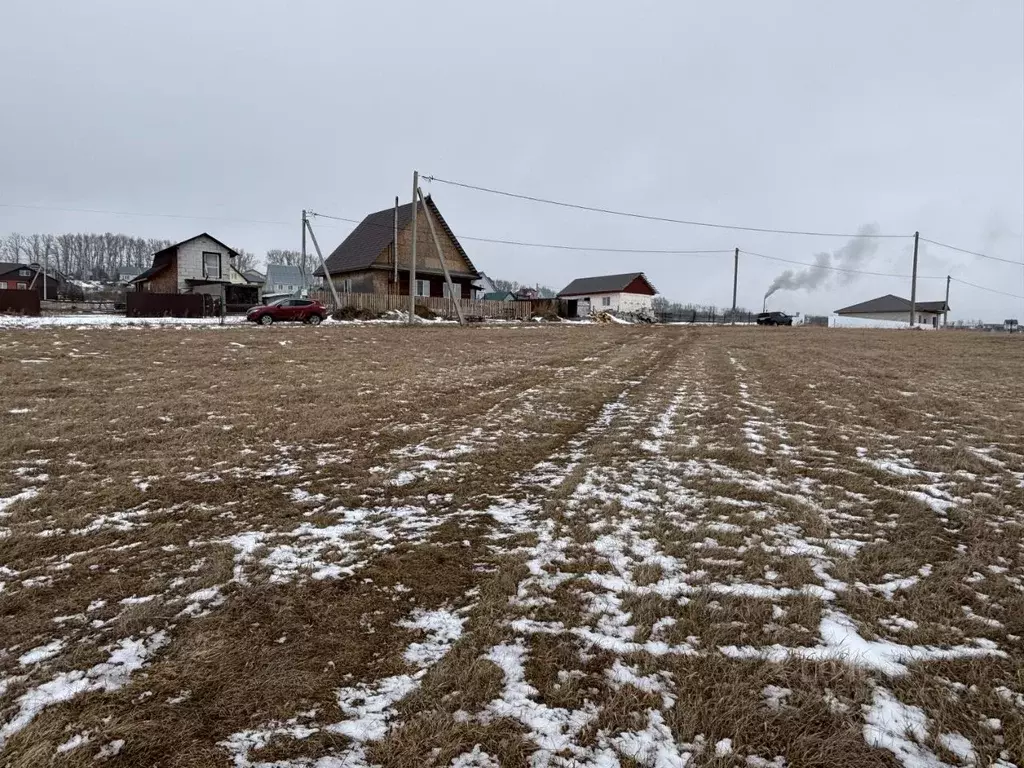 Участок в Алтайский край, Барнаул городской округ, пос. Центральный ... - Фото 2
