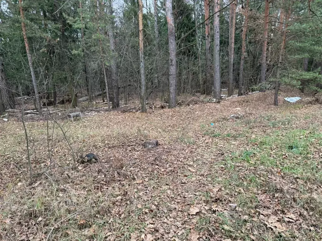 Участок в Московская область, Богородский городской округ, Электроугли ... - Фото 0