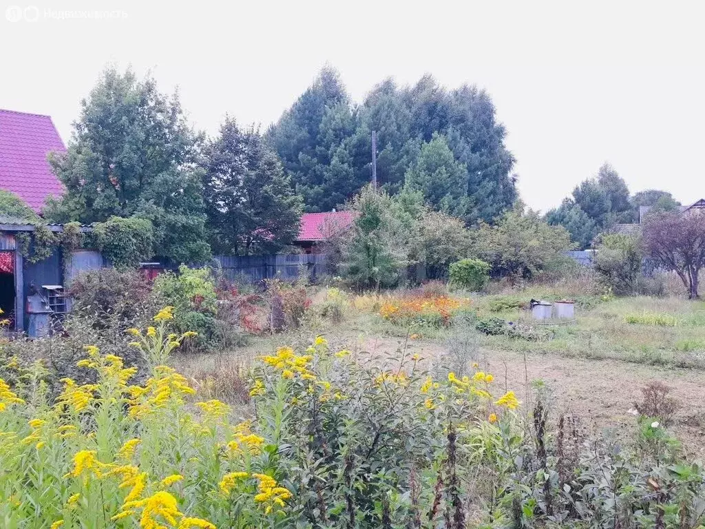 Участок в Курганская область, Кетовский муниципальный округ, СНТ УВД ... - Фото 2
