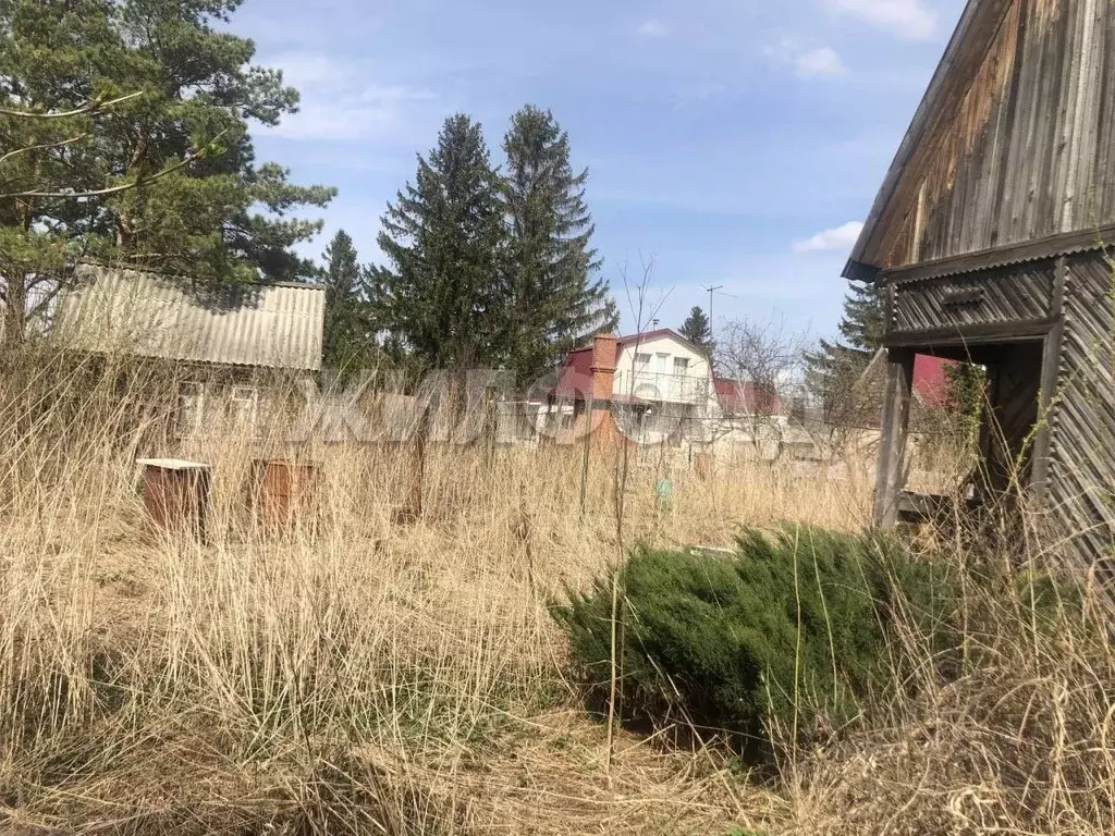 Участок в Новосибирская область, Колыванский район, Домостроитель СНТ ... - Фото 1