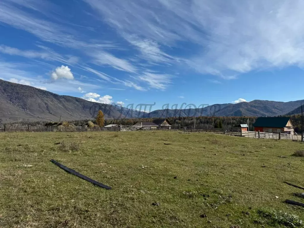 Участок в Алтай, Усть-Коксинский район, пос. Тюгурюк ул. Лесная (20.0 ... - Фото 2