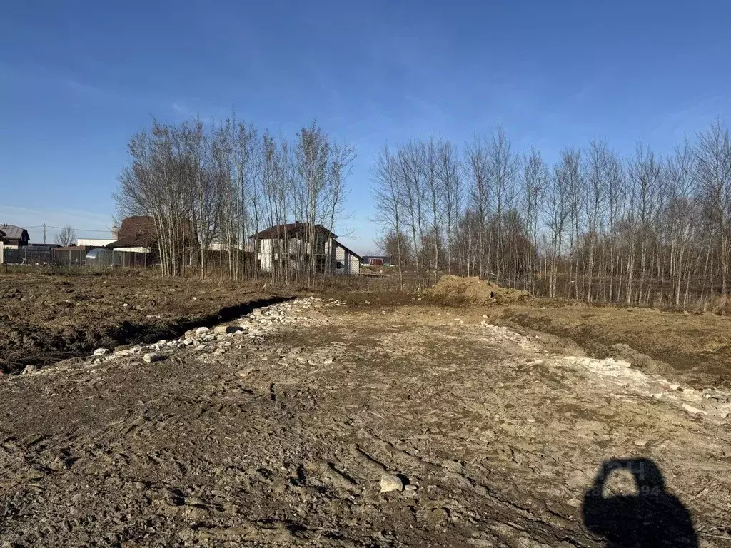 Участок в Калининградская область, Гурьевский муниципальный округ, ... - Фото 2