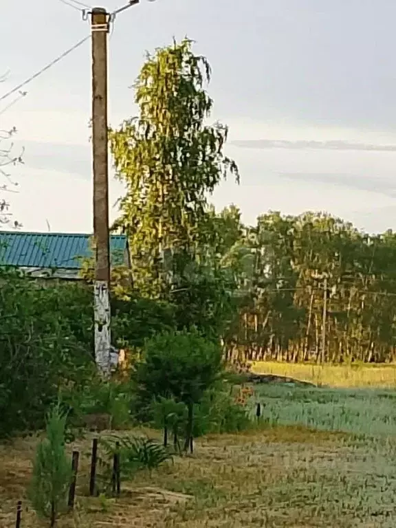 Участок в Белгородская область, Старооскольский городской округ, с. ... - Фото 1