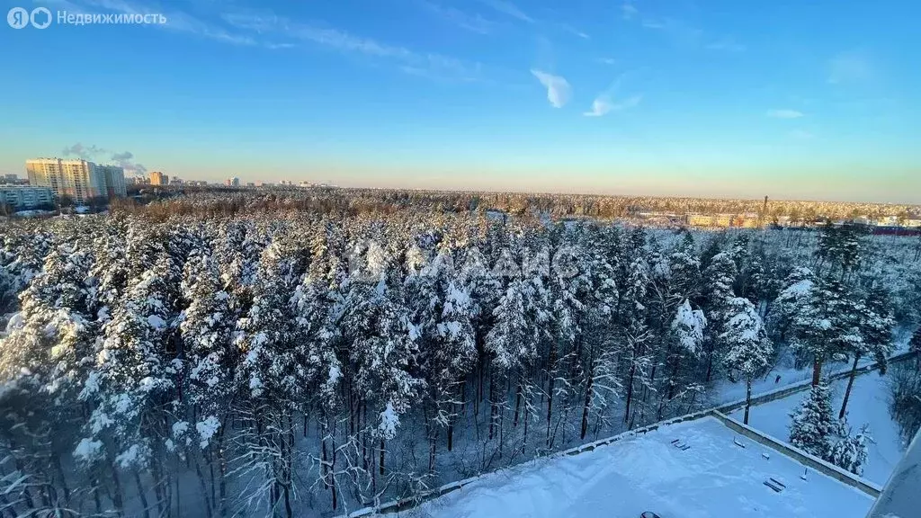 3-комнатная квартира: Балашиха, шоссе Энтузиастов, вл87к1 (82.2 м) - Фото 2