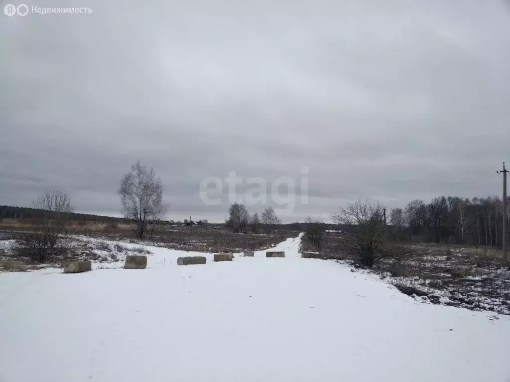 Участок в Ясногорский район, сельское поселение Ревякинское, село ... - Фото 2