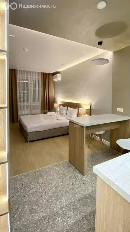 Квартира-студия: Красноярск, улица Партизана Железняка, 38 (26 м) - Фото 1