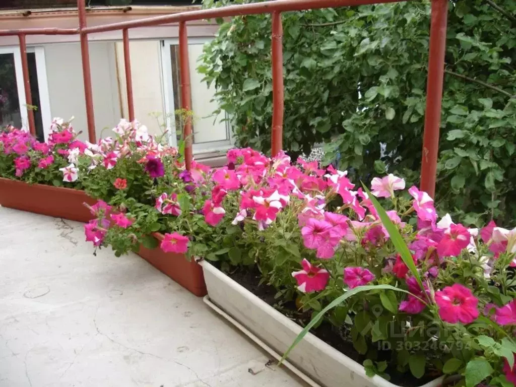 2-к кв. Владимирская область, Муром Садовая ул., 7 (40.0 м) - Фото 2